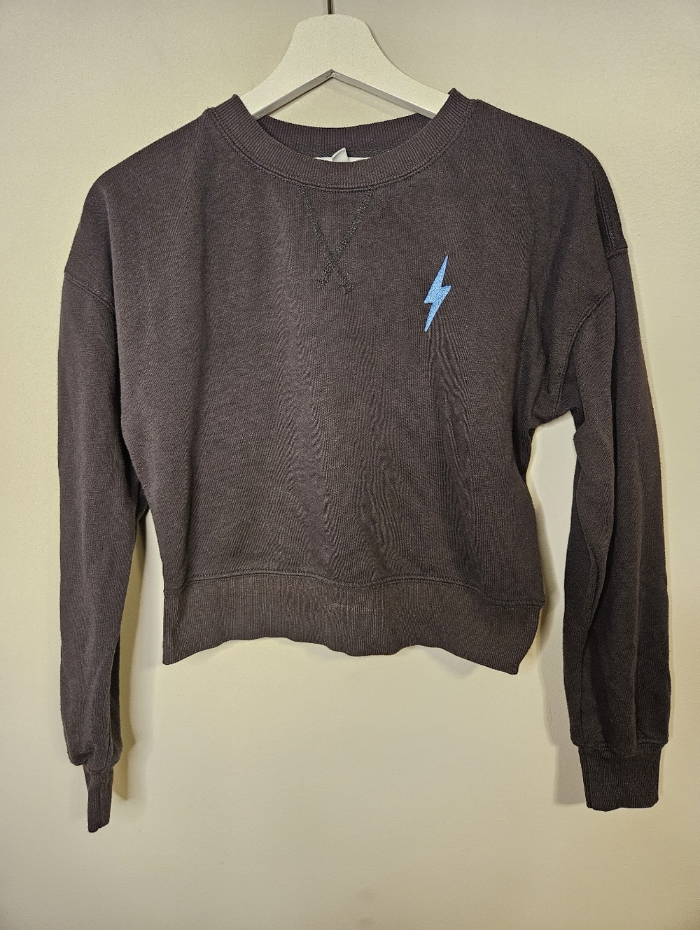 Pink Rose Charcoal Gray Cropped Crewneck Sweatshirt Blue Lightning Bolt